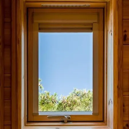 Charming Kiklamino In Agios Mattheos Holiday home Chania (Crete)